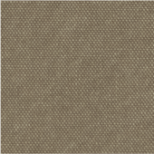 CanvasBeige
